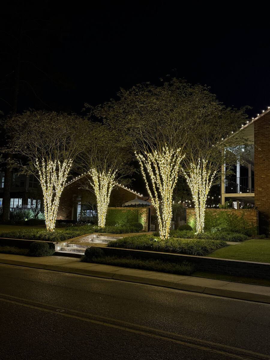 Crepe Myrtle Wraps