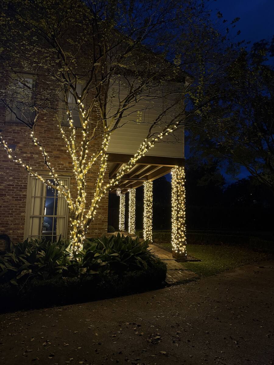Crepe Myrtle & Columns